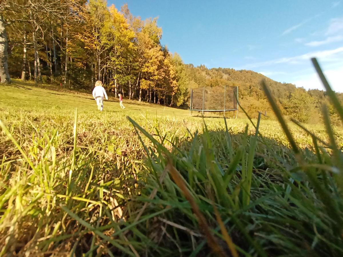 Waldner'S Ferienwohnung Hermagor-Pressegger See Eksteriør bilde